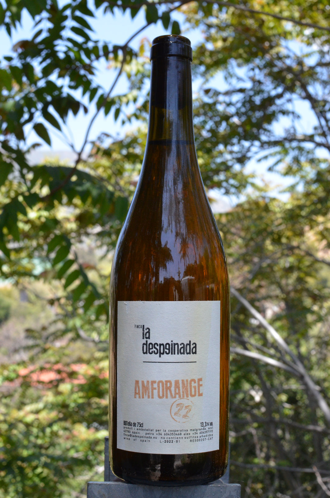 Finca La Despeinada • Amforange • 2022