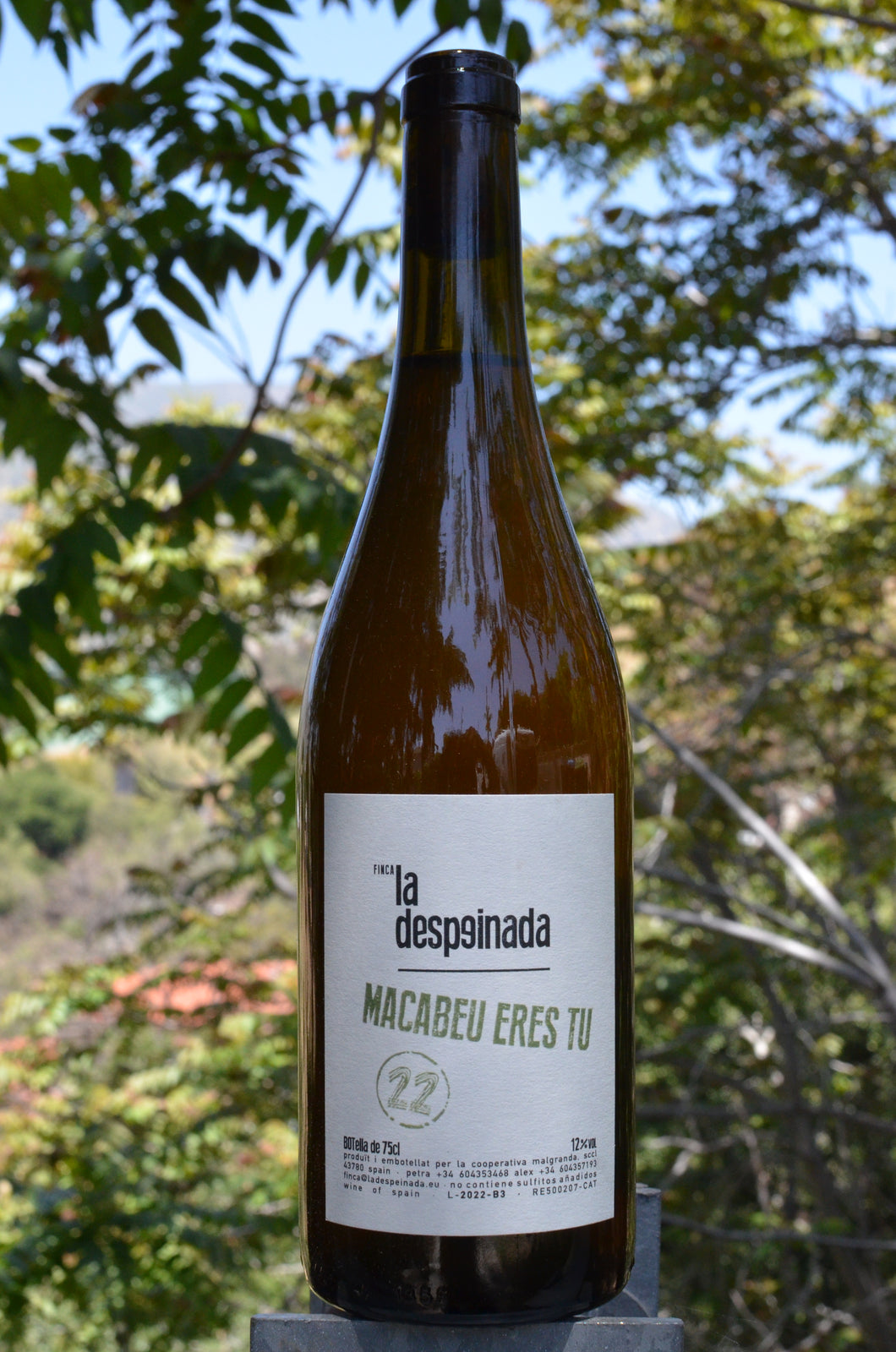 Finca La Despeinada • Macabeo Eres Tú • 2022