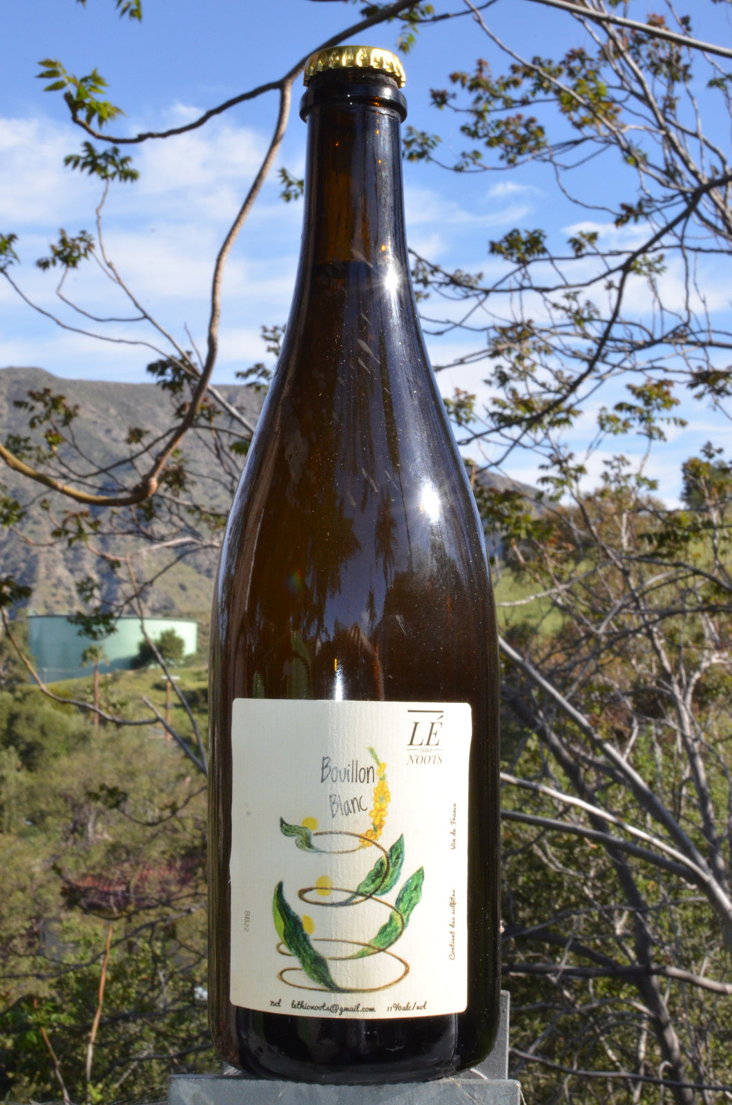 Lé Thio Noots (Romain Verger) • Bouillon Blanc • 2023