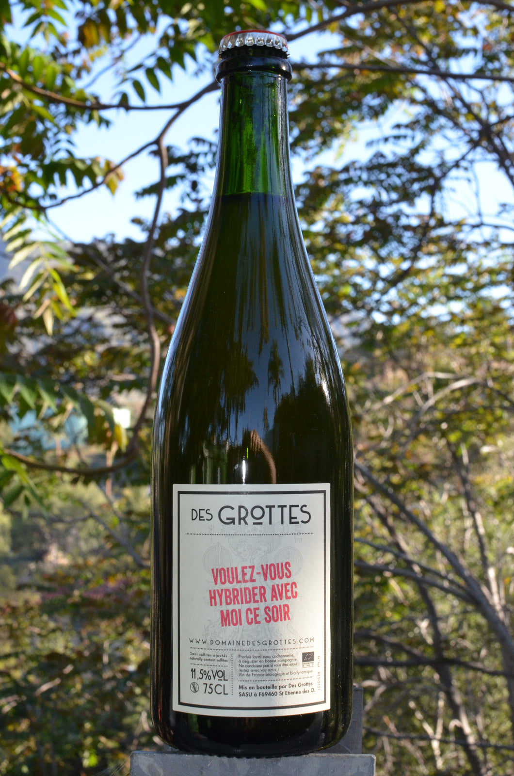 Domaine des Grottes • Voulez-vous hybrider • 2021