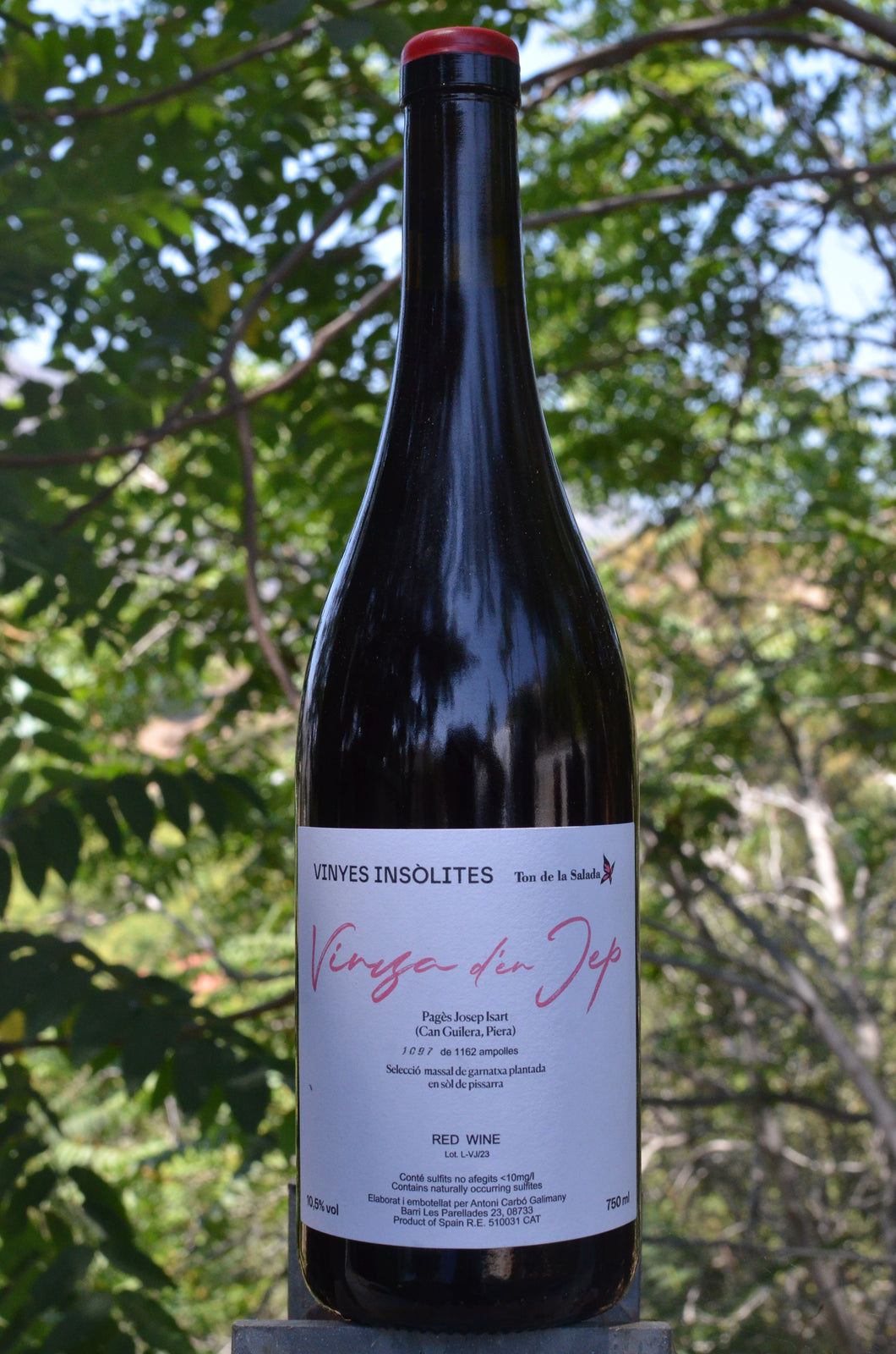 Celler La Salada • Vinya D’En Jep • 2023