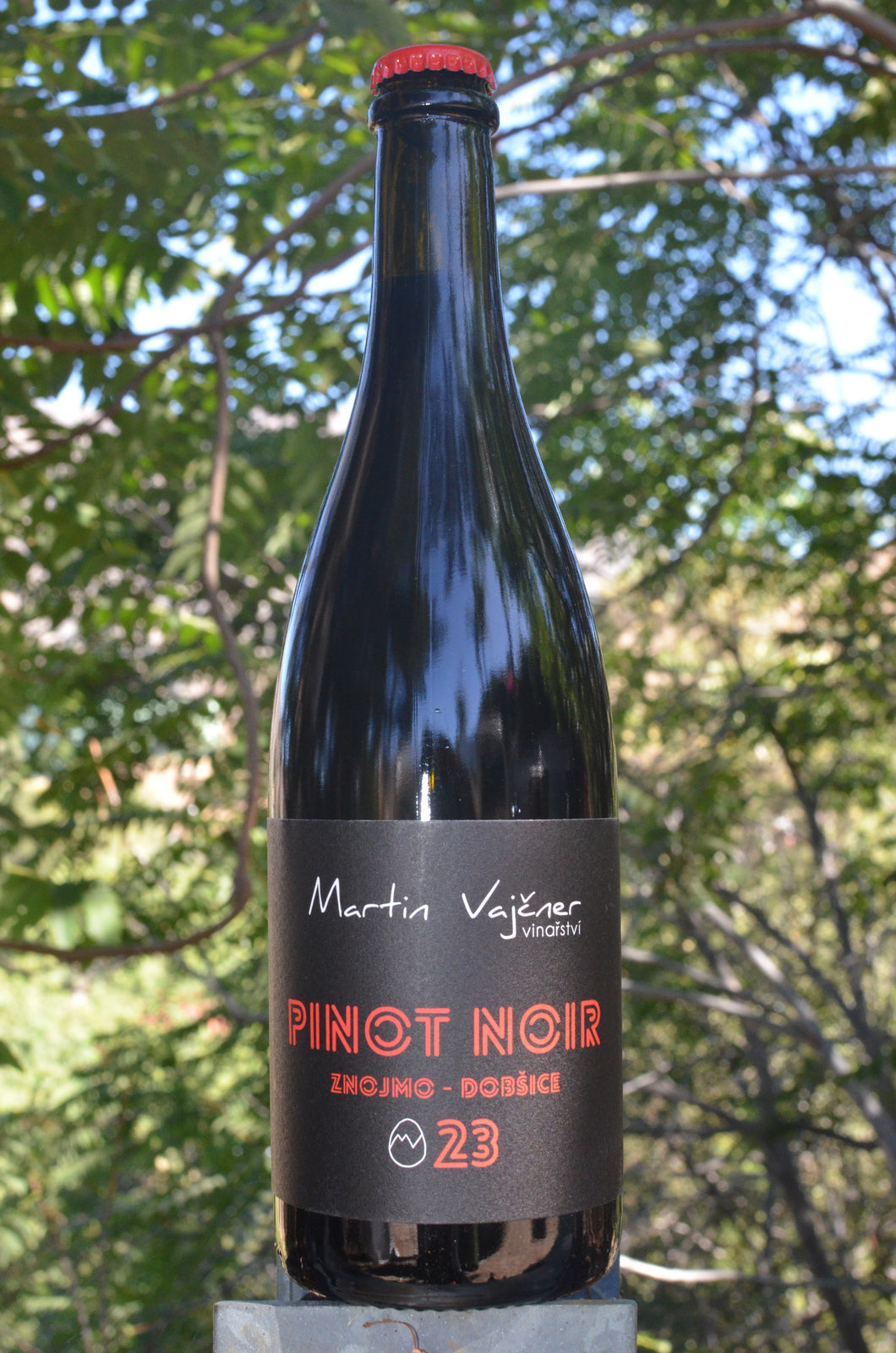 Martin Vajčner • Pinot Noir • 2023