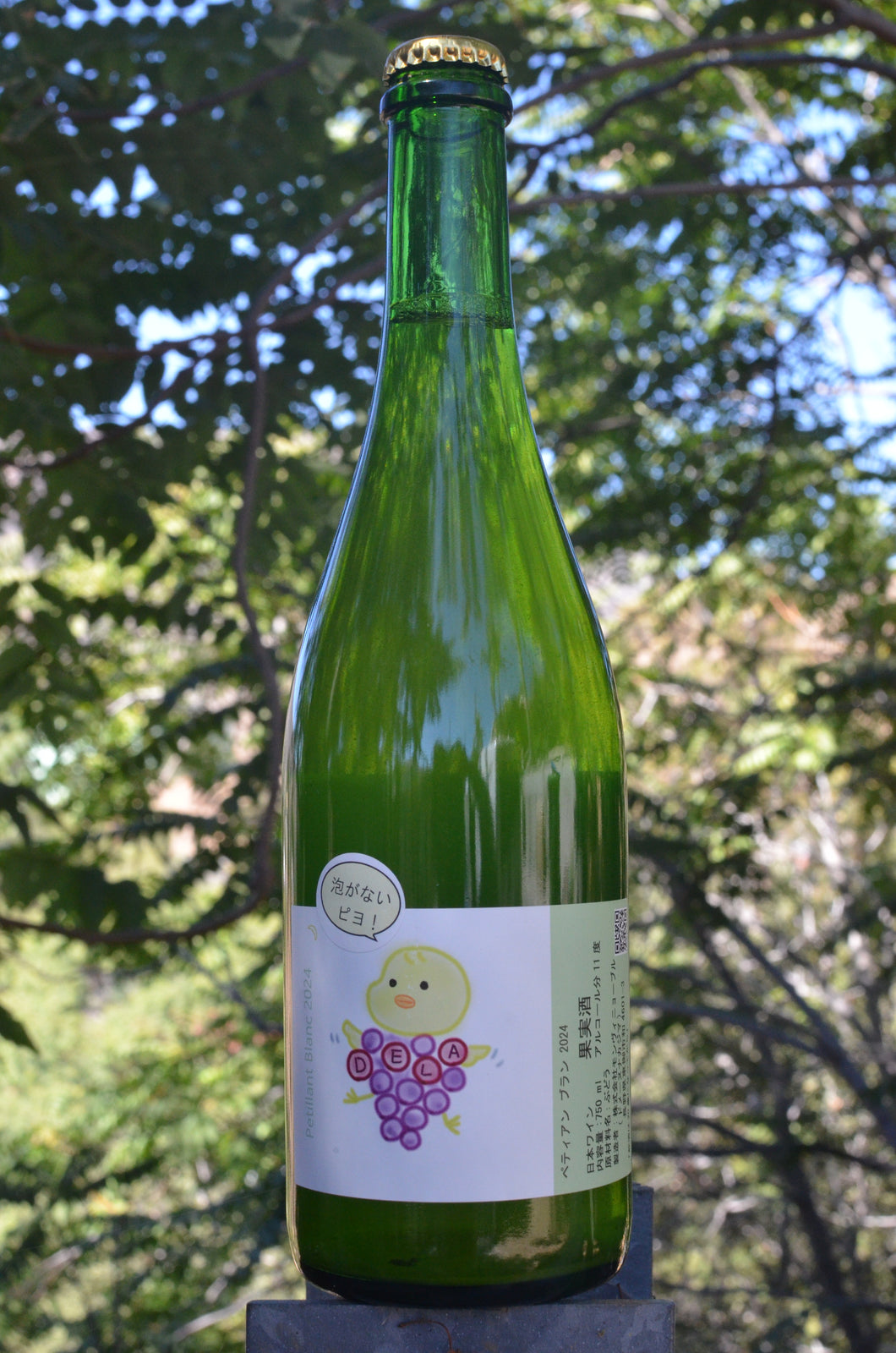 Domaine Nakajima • Pétillant Blanc (