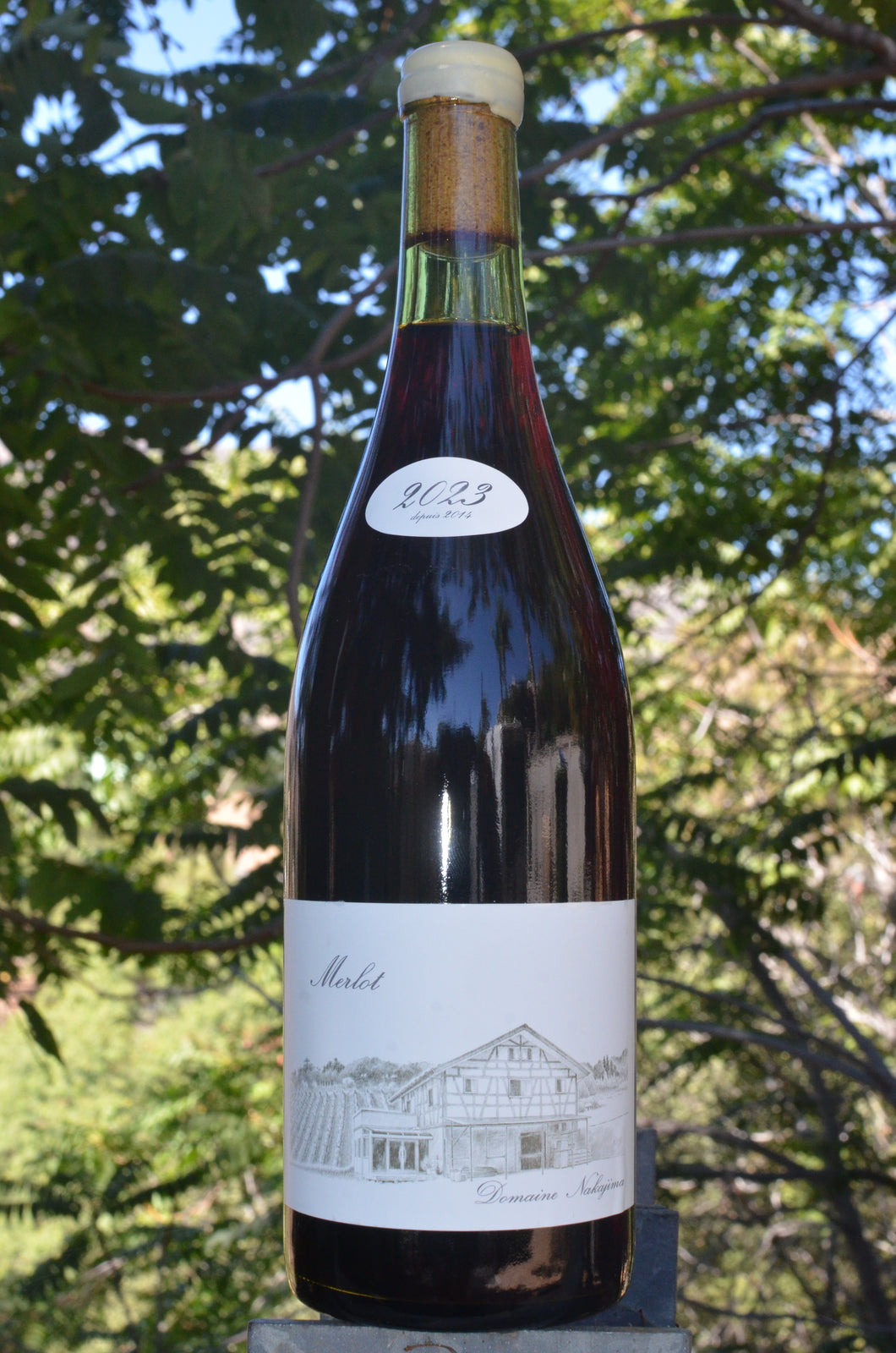 Domaine Nakajima • Merlot • 2023
