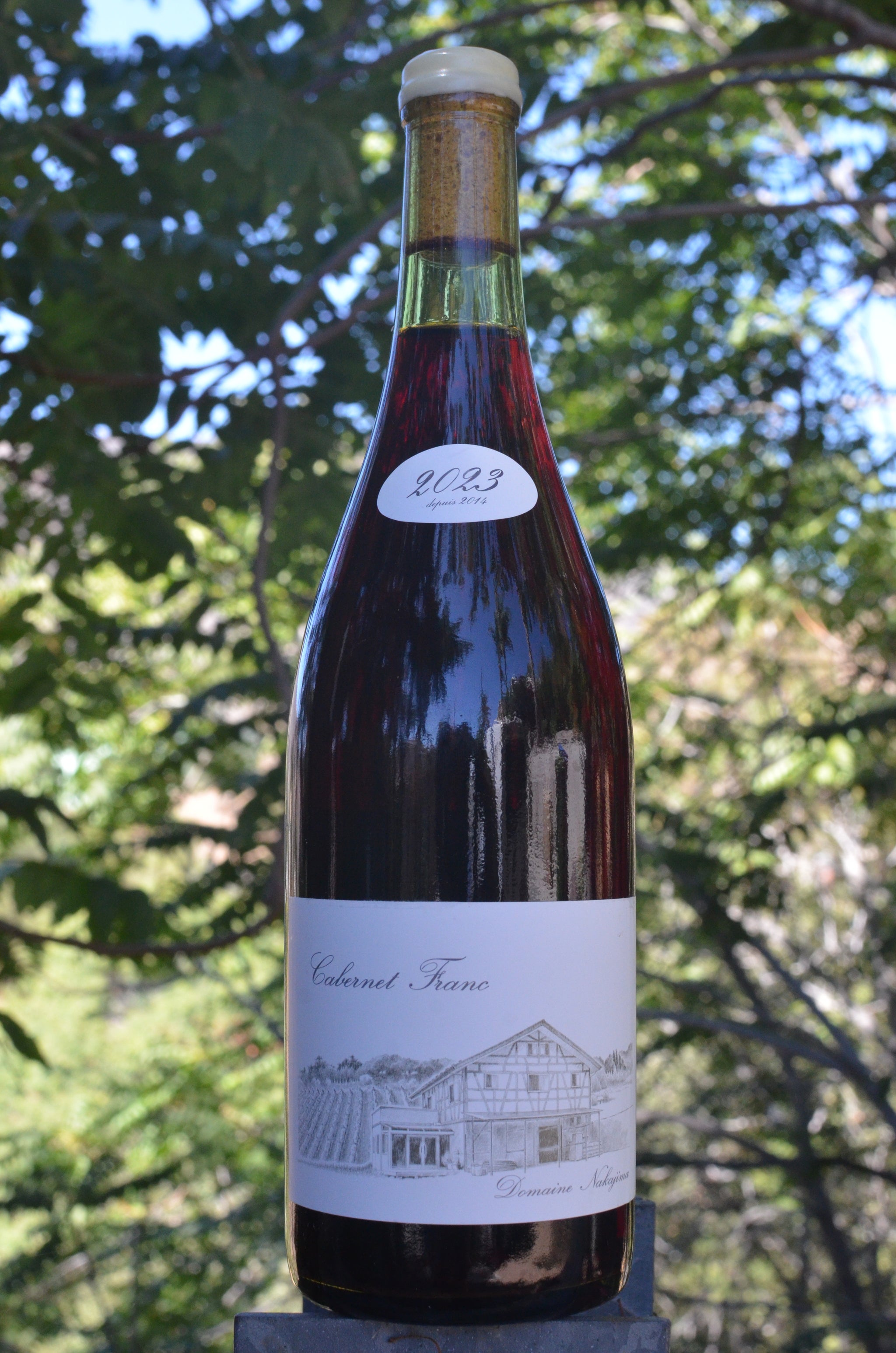 Domaine Nakajima • Cabernet Franc • 2023 – Little Lands Wines