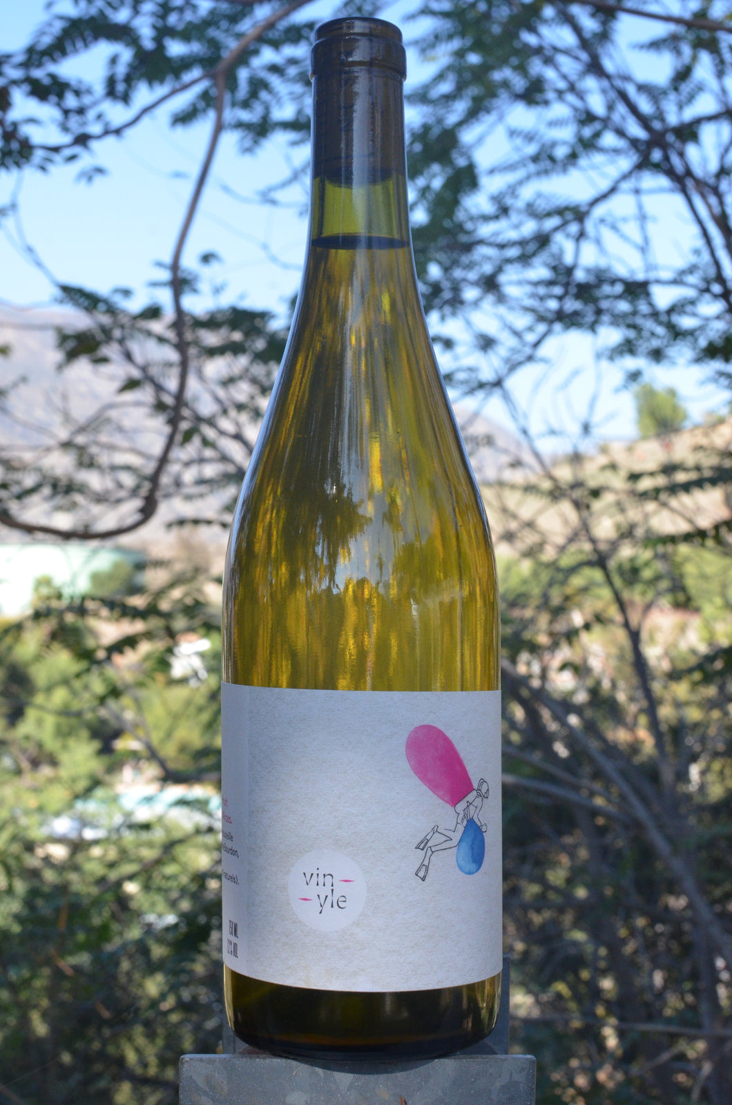 Marie Bourdon • Vinyle • 2022