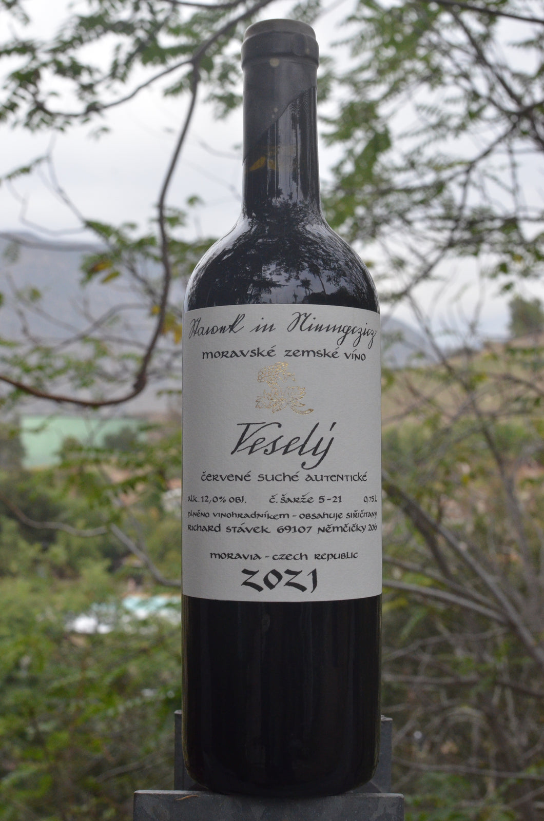 Richard Stávek • Vesely • 2021