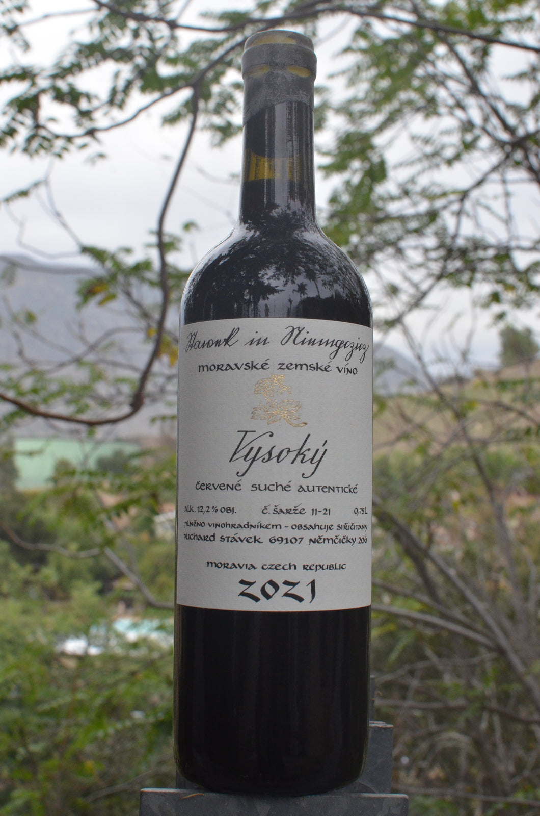 Richard Stávek • Vysoky • 2021