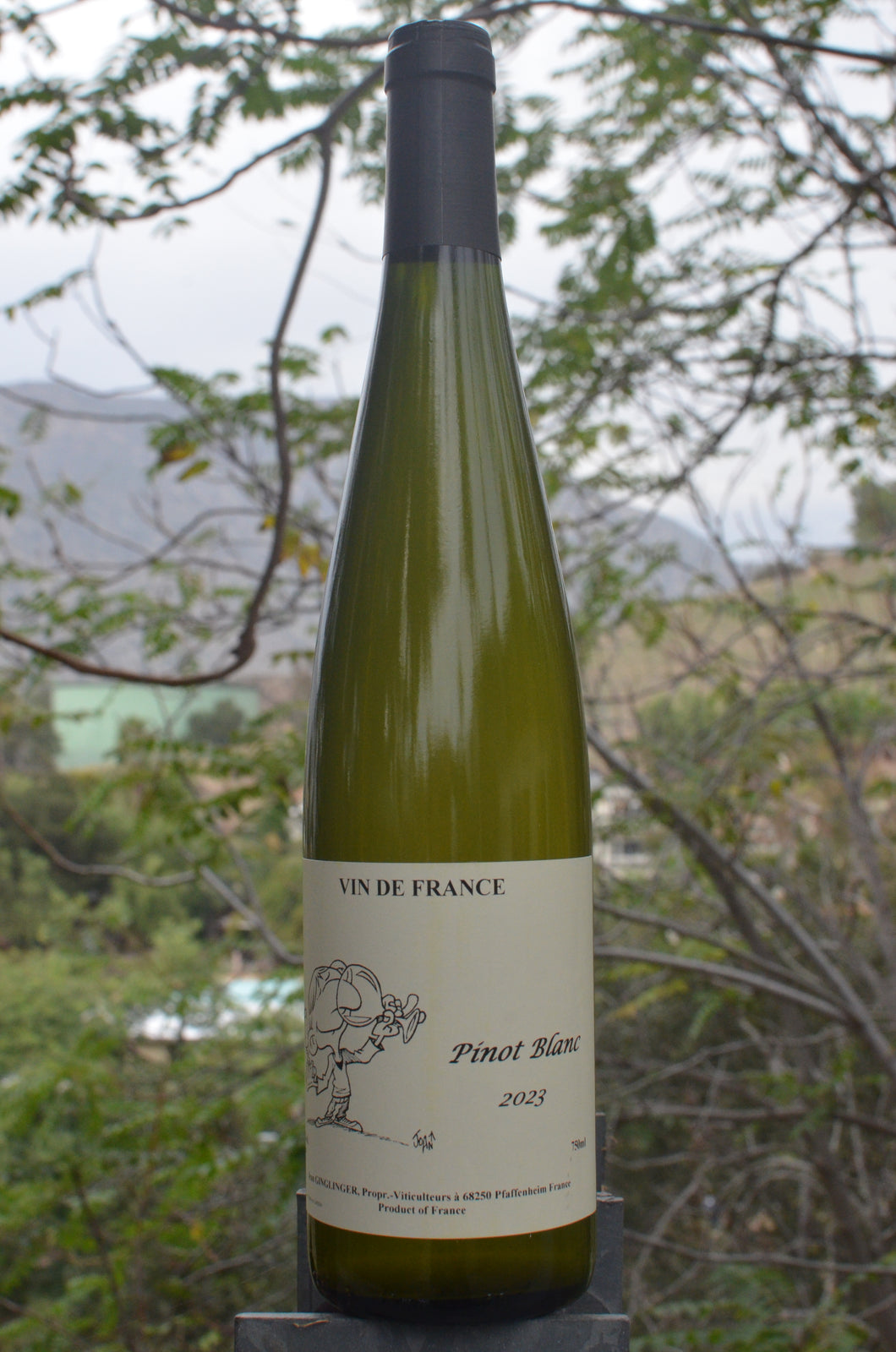 Jean-Francois Ginglinger • Pinot Blanc • 2023