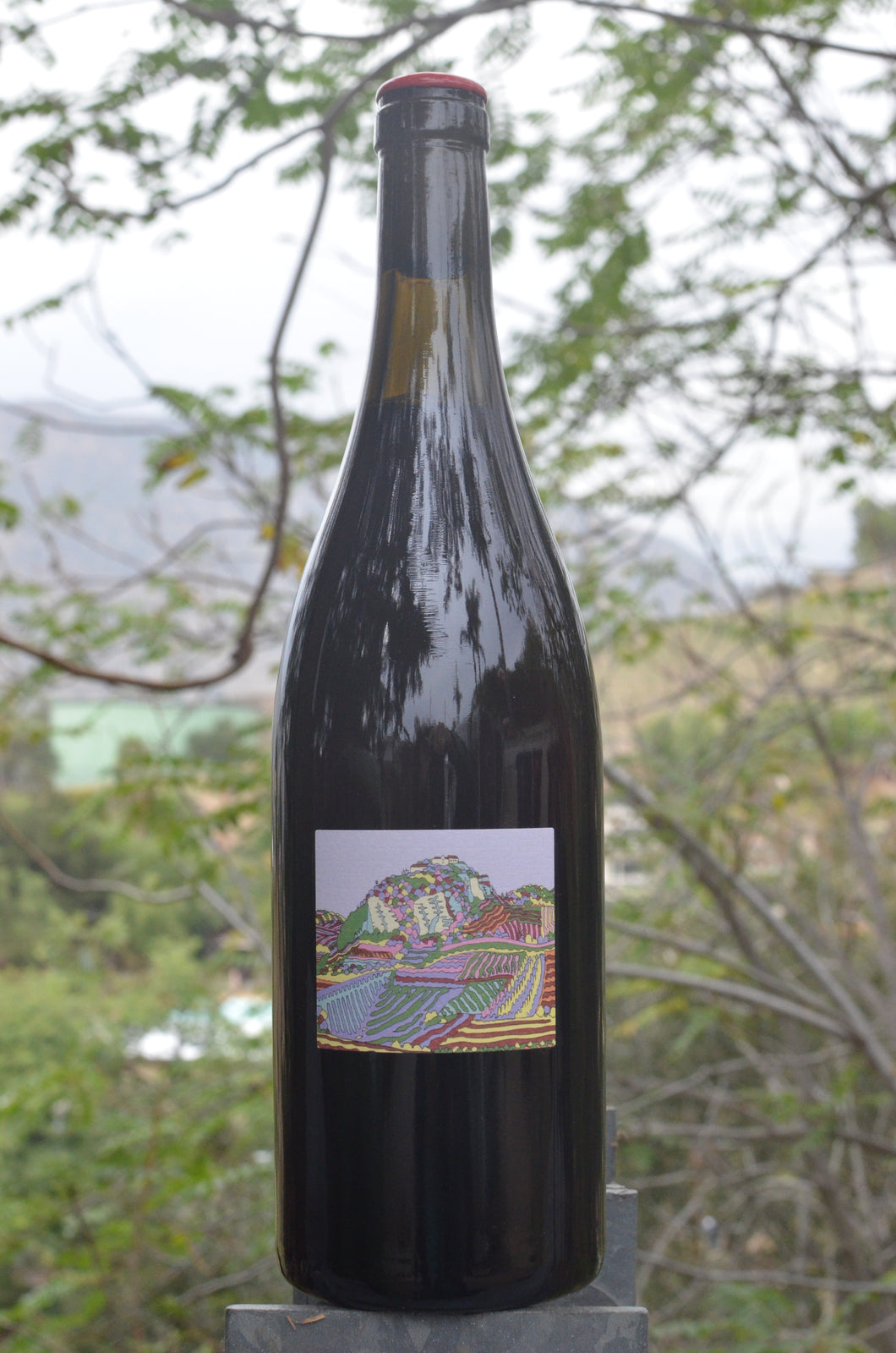 La Grange 476 • Pinocchio• 2022