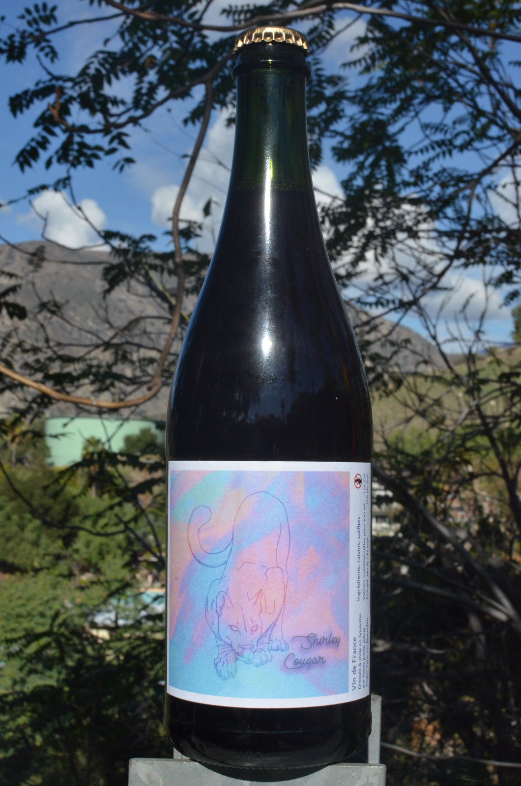 Maude Rochette • Shirley Cougar • 2024