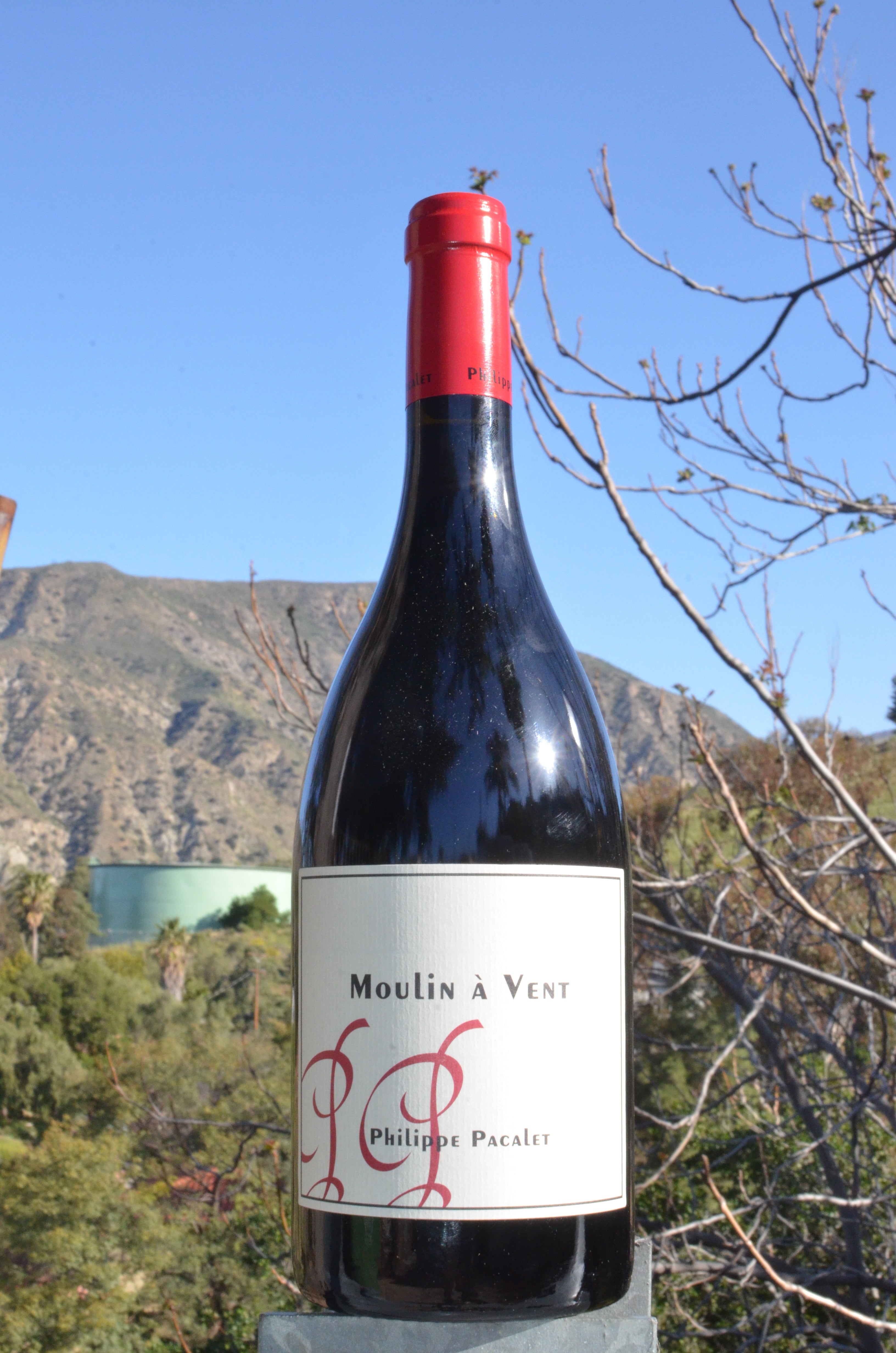 Philippe Pacalet Moulin-a-Vent 2016 | Wine.com